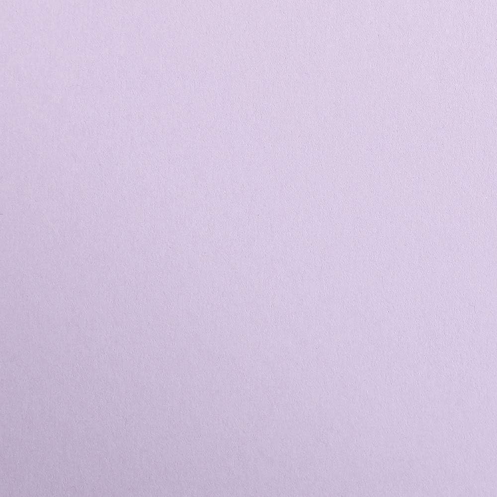 CLAIREFONTAINE Maya Coloured Paper A4 270g 1s Lilac