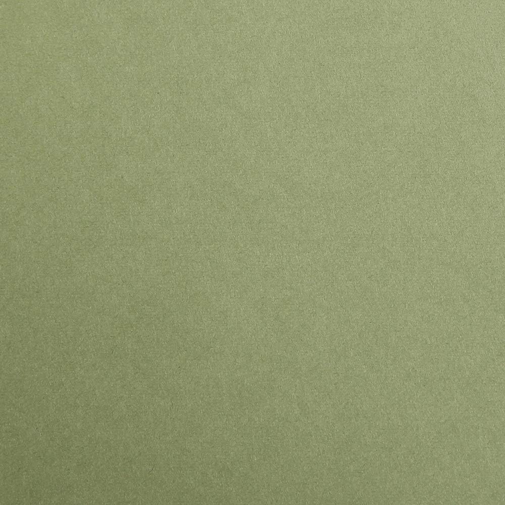 CLAIREFONTAINE Maya Coloured Paper A4 270g 1s Khaki