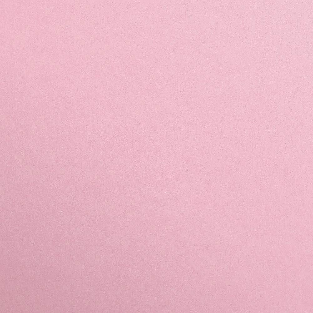 CLAIREFONTAINE Maya Coloured Paper A4 270g 1s Pale Pink