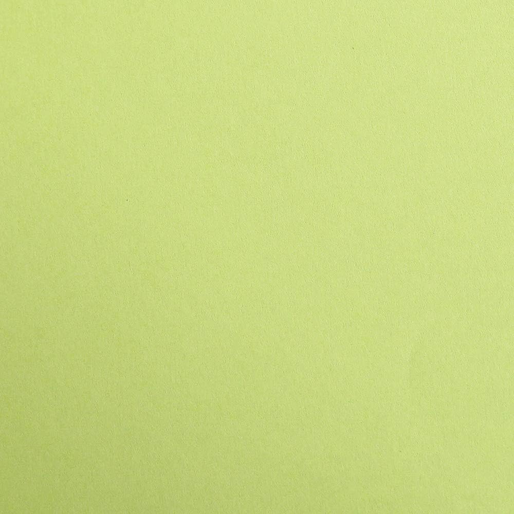 CLAIREFONTAINE Maya Coloured Paper A4 270g 1s Moss Green