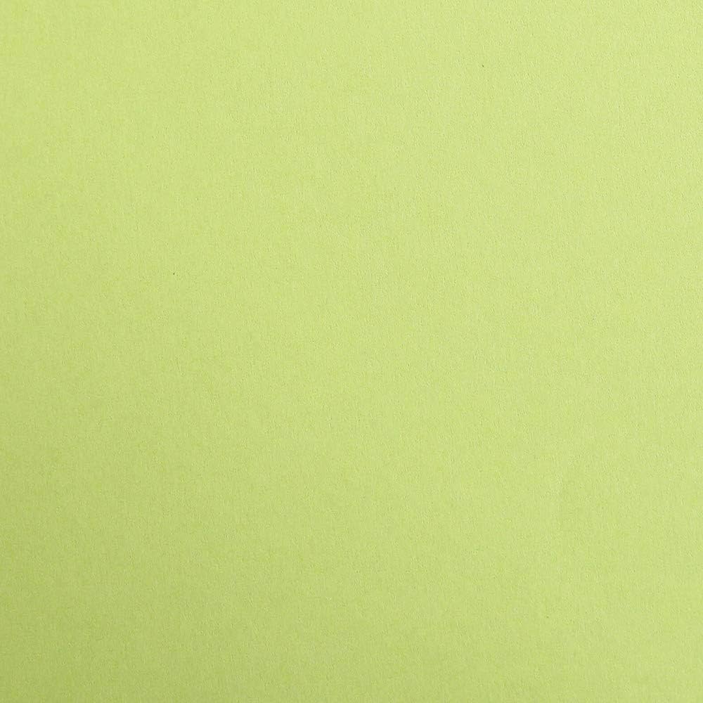 CLAIREFONTAINE Maya Coloured Paper A3 270g 1s Moss Green