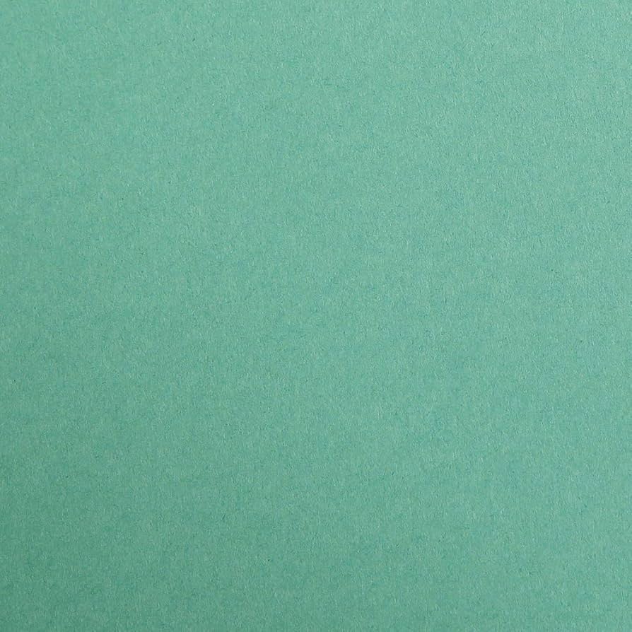 CLAIREFONTAINE Maya Coloured Paper A3 270g 1s Dark Green