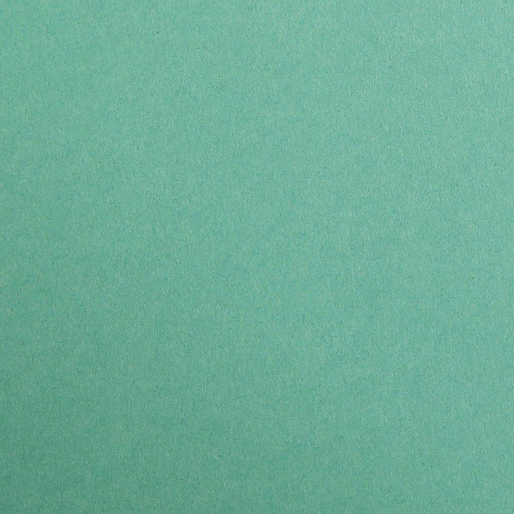 CLAIREFONTAINE Maya Coloured Paper A4 185g 1s Dark Green