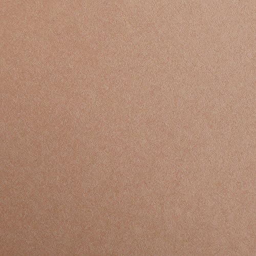 CLAIREFONTAINE Maya Coloured Paper A4 120g 1s Light Brown