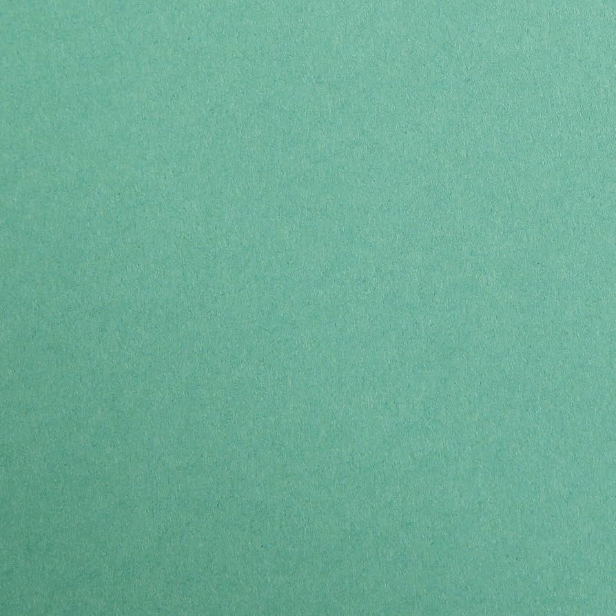 CLAIREFONTAINE Maya Coloured Paper A4 120g 1s Dark Green