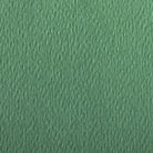 CLAIREFONTAINE Etival Coloured Paper A4 160g 1s Deep Green