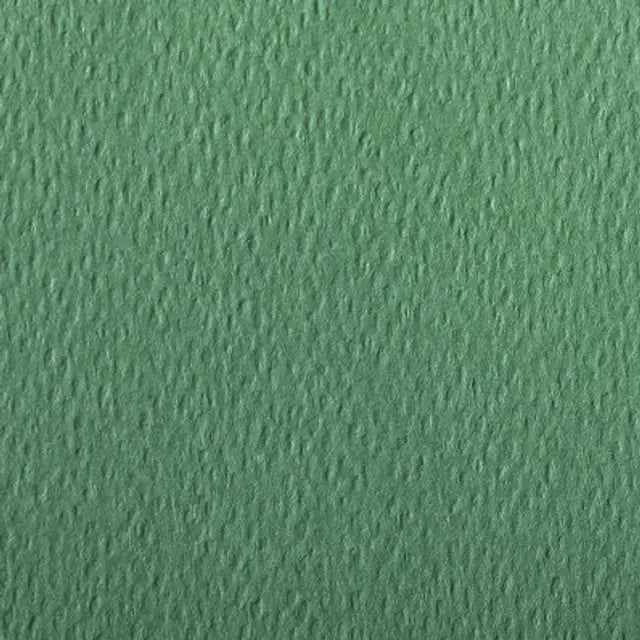 CLAIREFONTAINE Etival Coloured Paper A4 160g 1s Deep Green