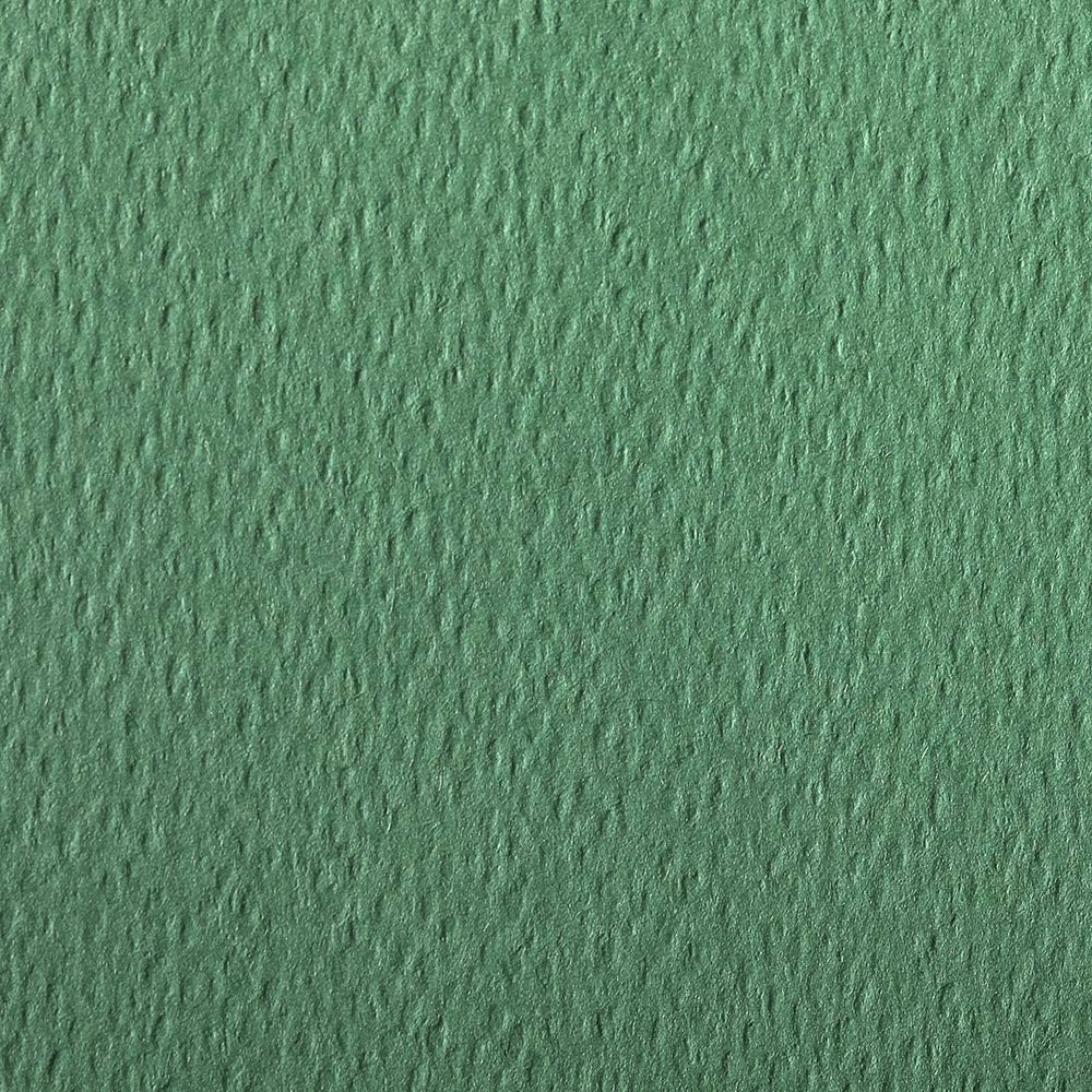 CLAIREFONTAINE Etival Coloured Paper 50x65cm 160g 1s Deep Green