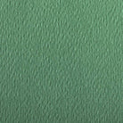 CLAIREFONTAINE Etival Coloured Paper A3 160g 1s Deep Green