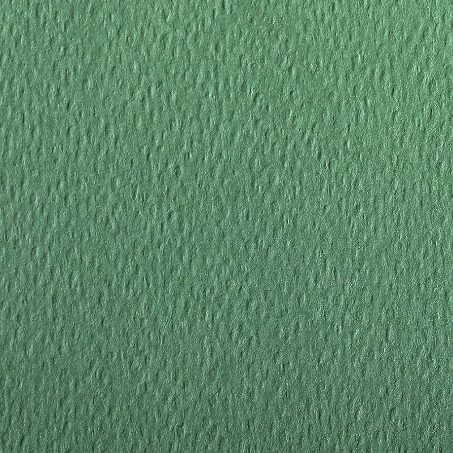 CLAIREFONTAINE Etival Coloured Paper A3 160g 1s Deep Green