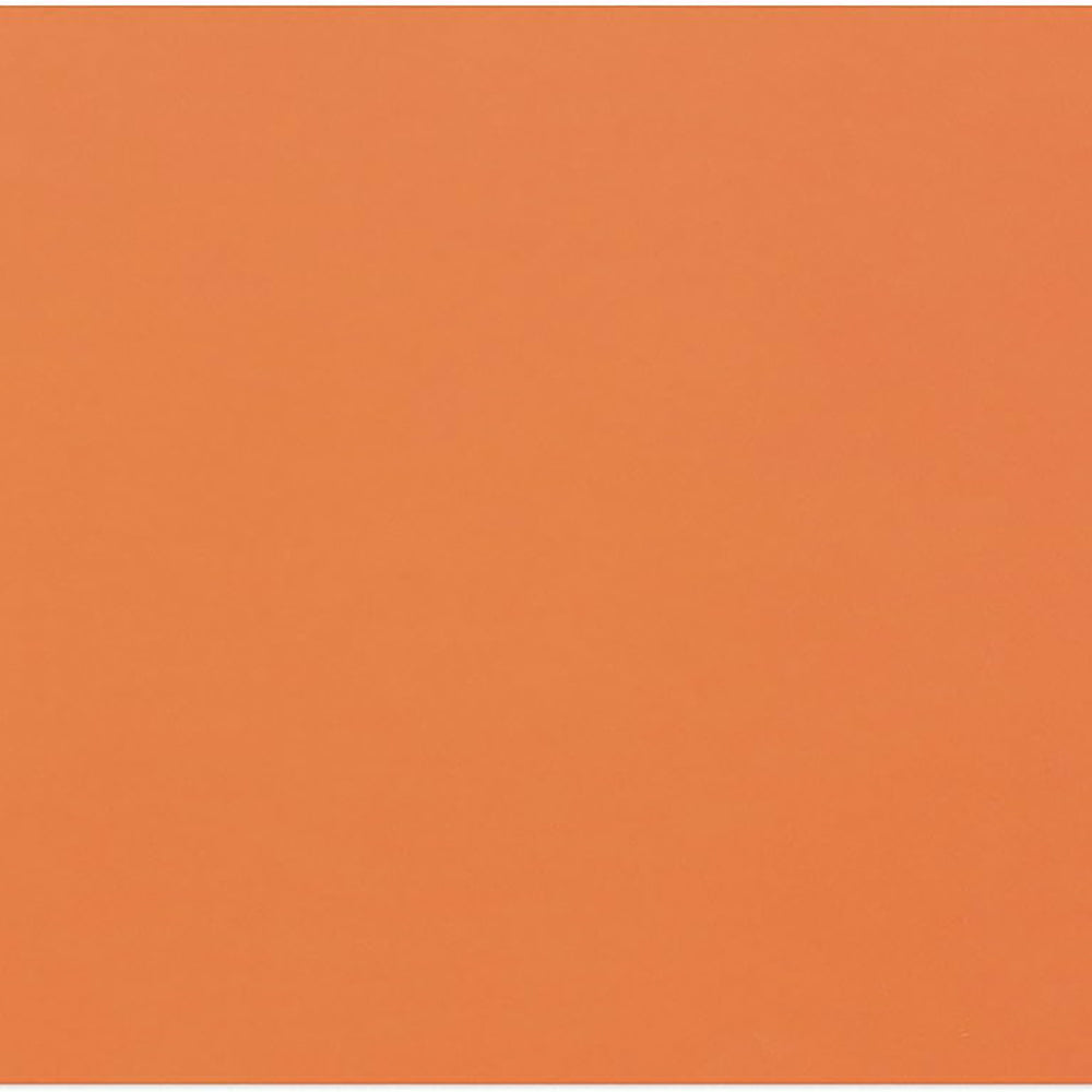 CLAIREFONTAINE Tulipe Coloured Drawing Paper A4 160g 1s Light Orange