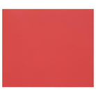 CLAIREFONTAINE Tulipe Coloured Drawing Paper A4 160g 1s Poppy