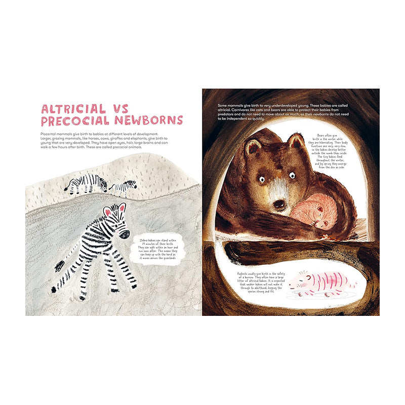 Mama Mammals: Reproduction And Birth In Mammals by Cathy Evans and Bia Melo