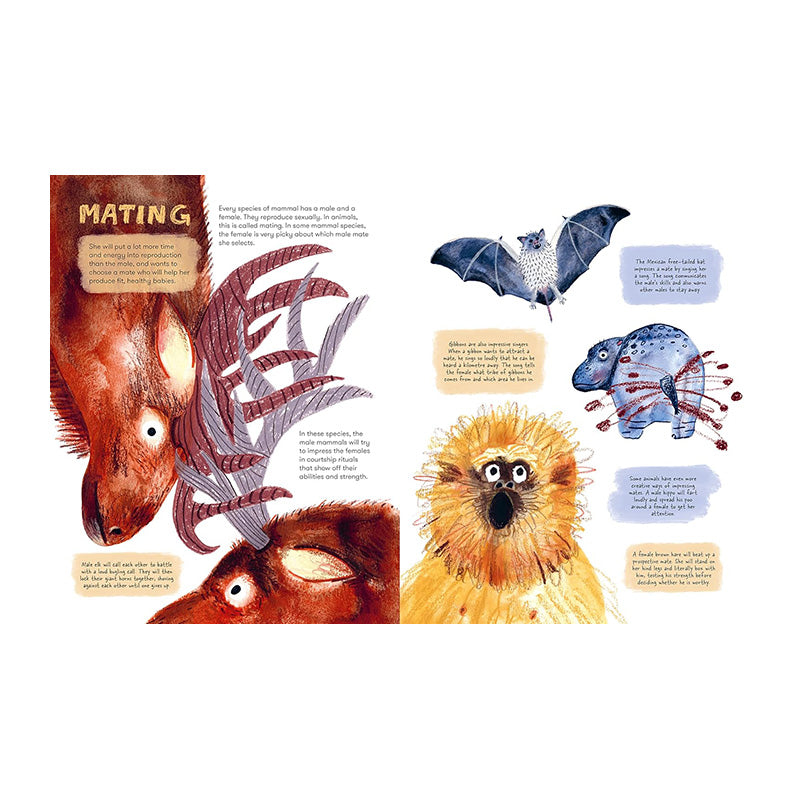 Mama Mammals: Reproduction And Birth In Mammals by Cathy Evans and Bia Melo