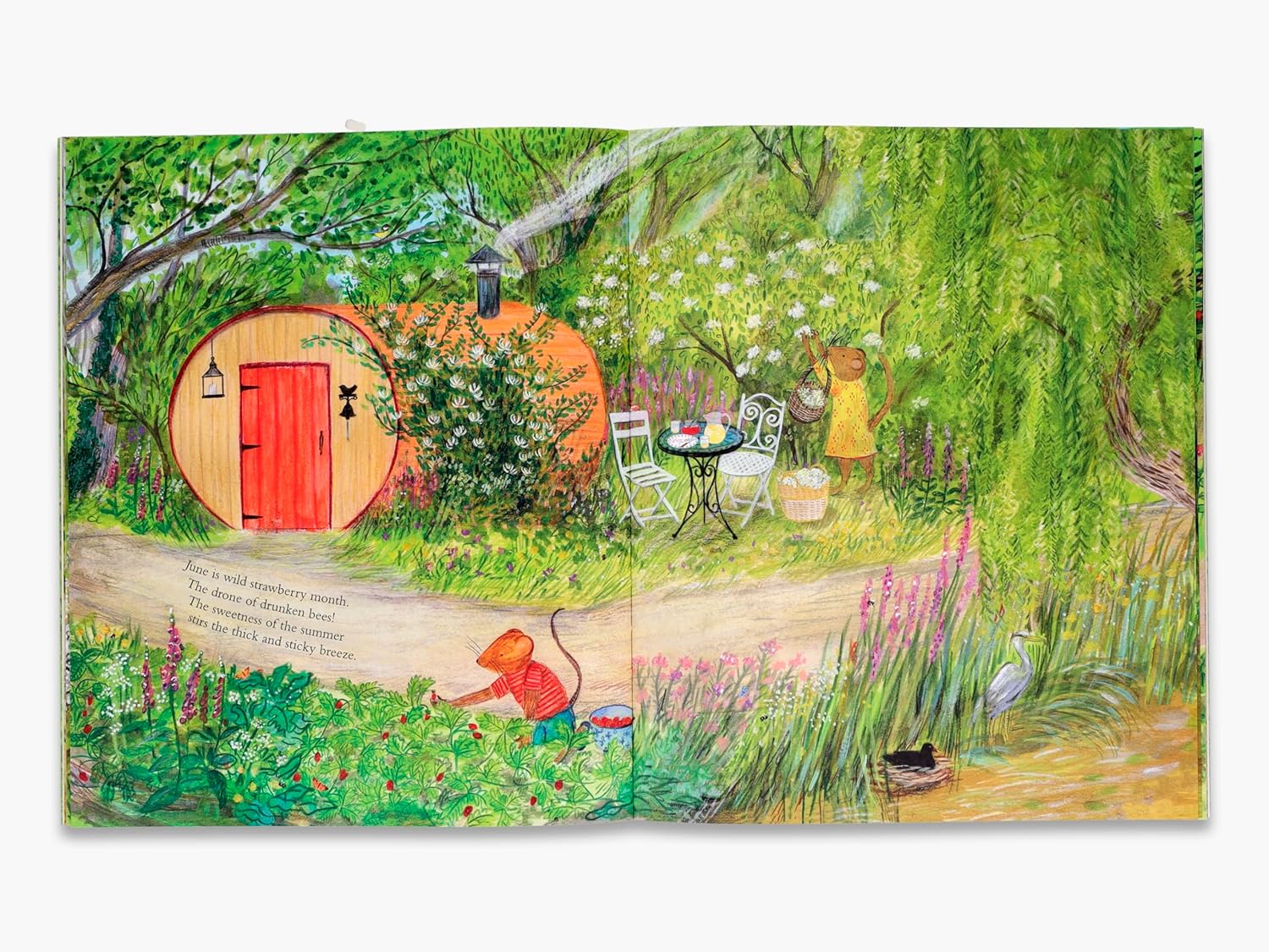 Mouse's Wood A Year In Nature by Alice Melvin