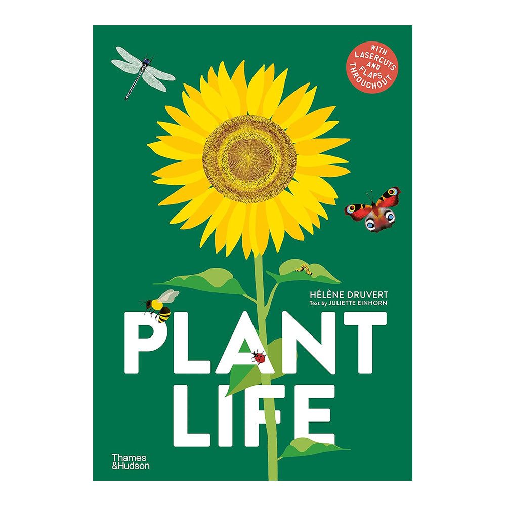 Plant Life by Hélène Druvert, Juliette Einhorn