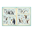 Do Penguins Like The Cold? by Huw Lewis Jones and Sam Caldwell
