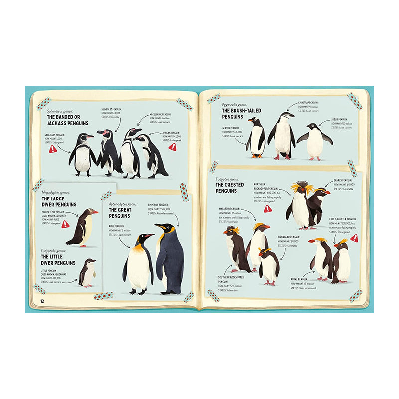 Do Penguins Like The Cold? by Huw Lewis Jones and Sam Caldwell