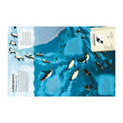 Do Penguins Like The Cold? by Huw Lewis Jones and Sam Caldwell