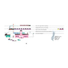 Locomotive by Julian Tuwim, Lewitt and Him