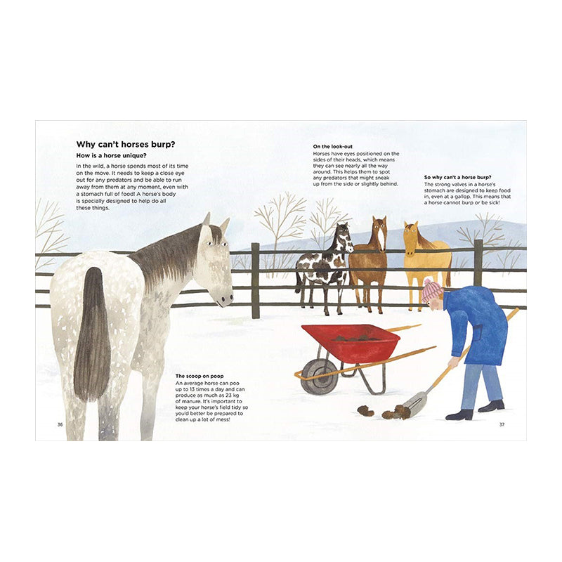 Why Can't Horses Burp? by Lily Snowden-Fine, Nick Crumpton