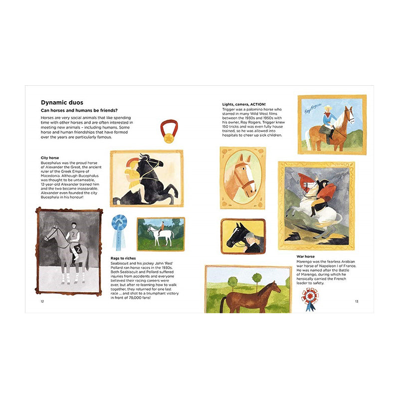 Why Can't Horses Burp? by Lily Snowden-Fine, Nick Crumpton