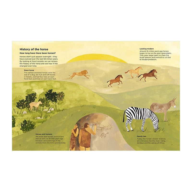 Why Can't Horses Burp? by Lily Snowden-Fine, Nick Crumpton