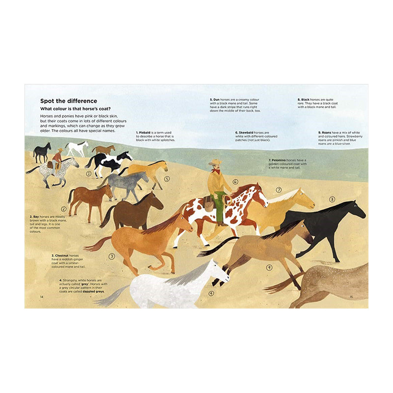 Why Can't Horses Burp? by Lily Snowden-Fine, Nick Crumpton