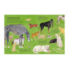 Why Do Dogs Sniff Bottoms? by Lily Snowden-Fine, Nick Crumpton