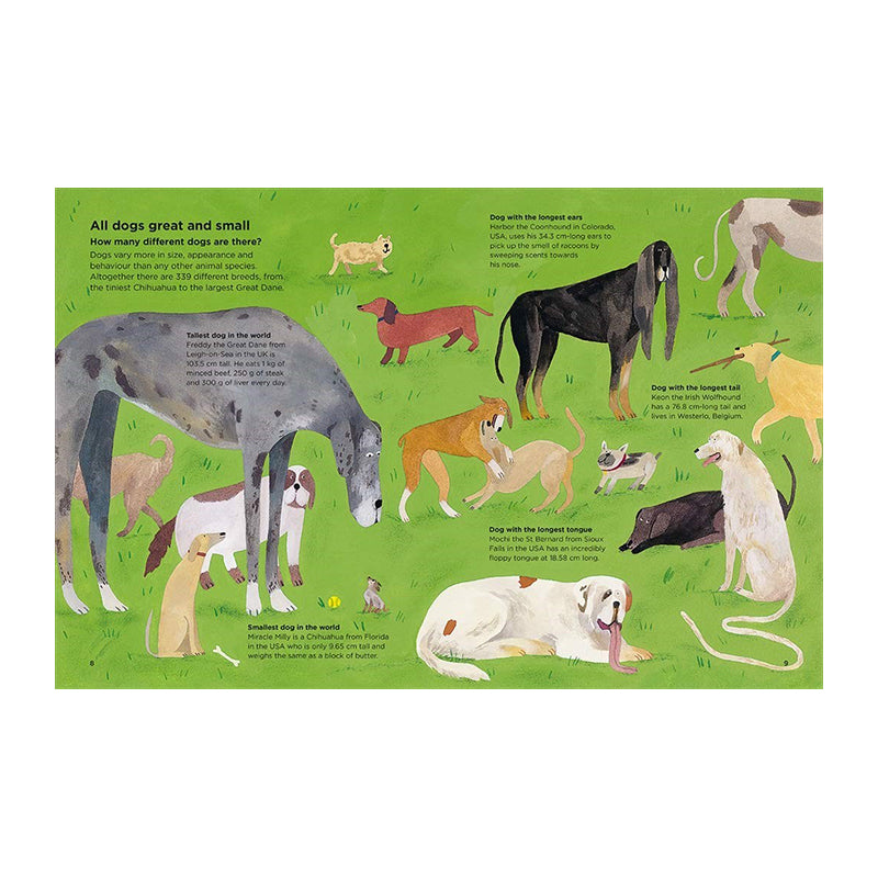 Why Do Dogs Sniff Bottoms? by Lily Snowden-Fine, Nick Crumpton