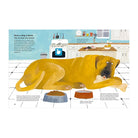 Why Do Dogs Sniff Bottoms? by Lily Snowden-Fine, Nick Crumpton