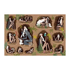 The Book Of Dirt by Piotr Socha, Monika Utnik-Strugala