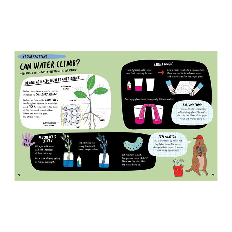The Brainiac's Book Of The Climate And Weather by Rosie Cooper, Harriet Russell