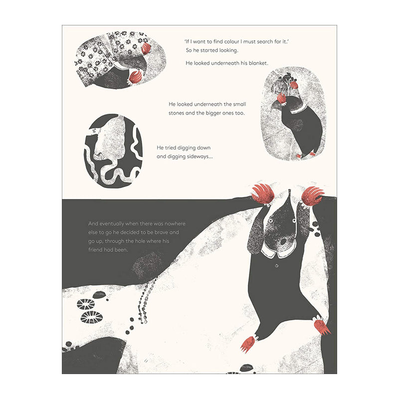 Mole In A Black And White Hole by Tereza Sediva