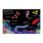 Dart And Dive Across The Reef by Vassiliki Tzomaka