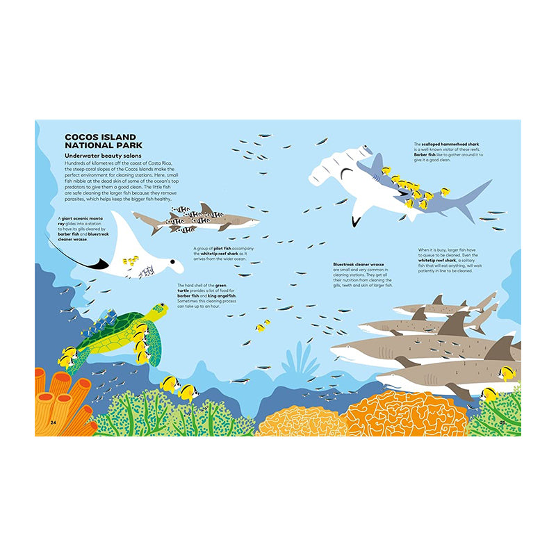 Dart And Dive Across The Reef by Vassiliki Tzomaka