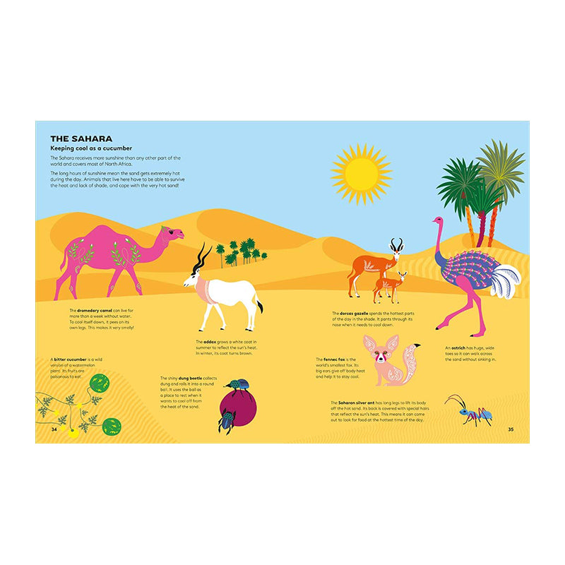 Hoot And Howl Across The Desert by Vassiliki Tzomaka