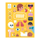 Little-Known Facts: The Human Body by Diarmuid O Cathain