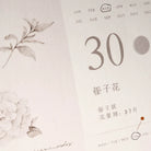 FRECKLES Tea Dateless Calendar