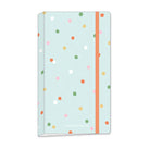 MINDWAVE Multi-Sticker Pocket File Pistachio