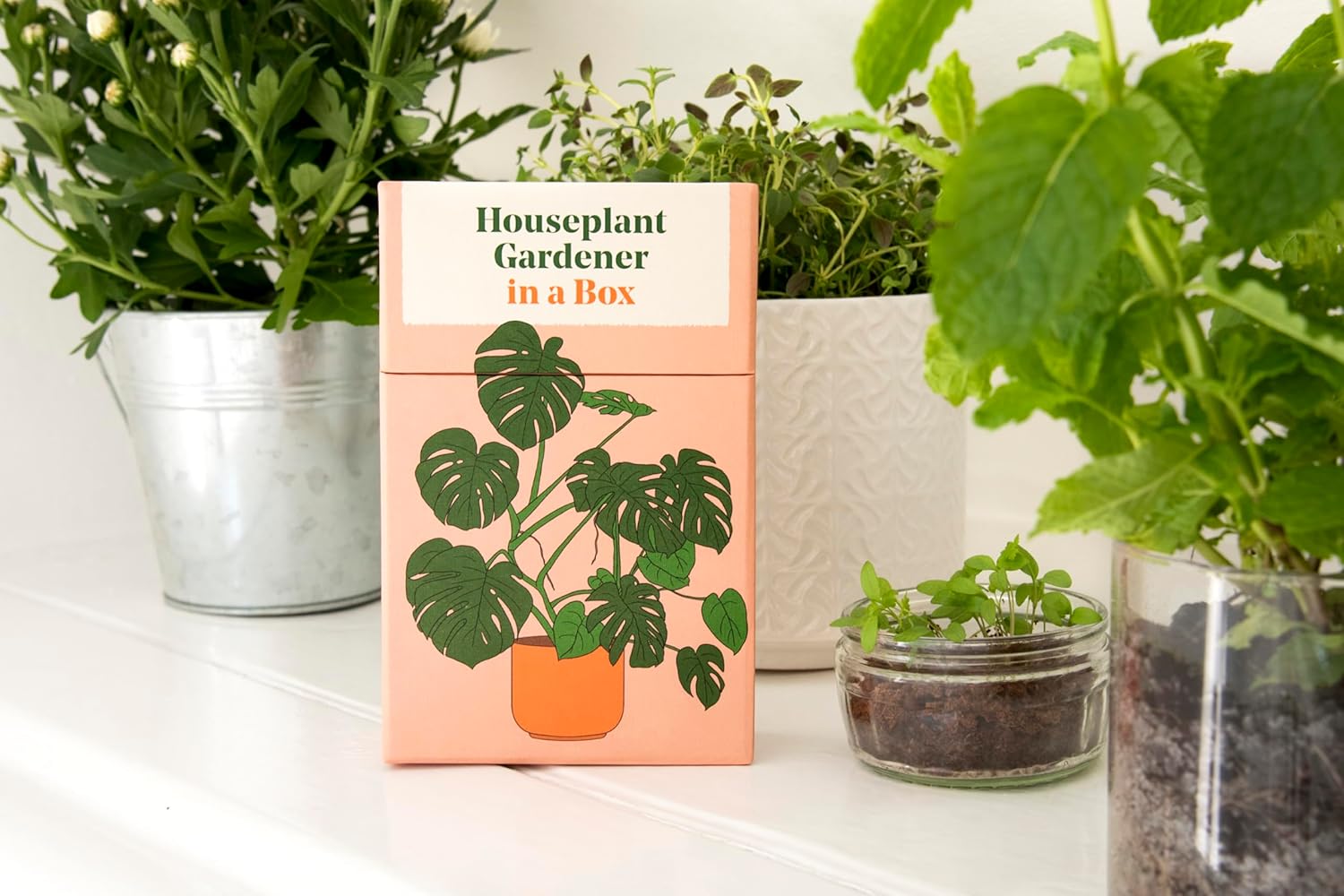 Houseplant Gardener In A Box by Jane Perrone and Cody Bond