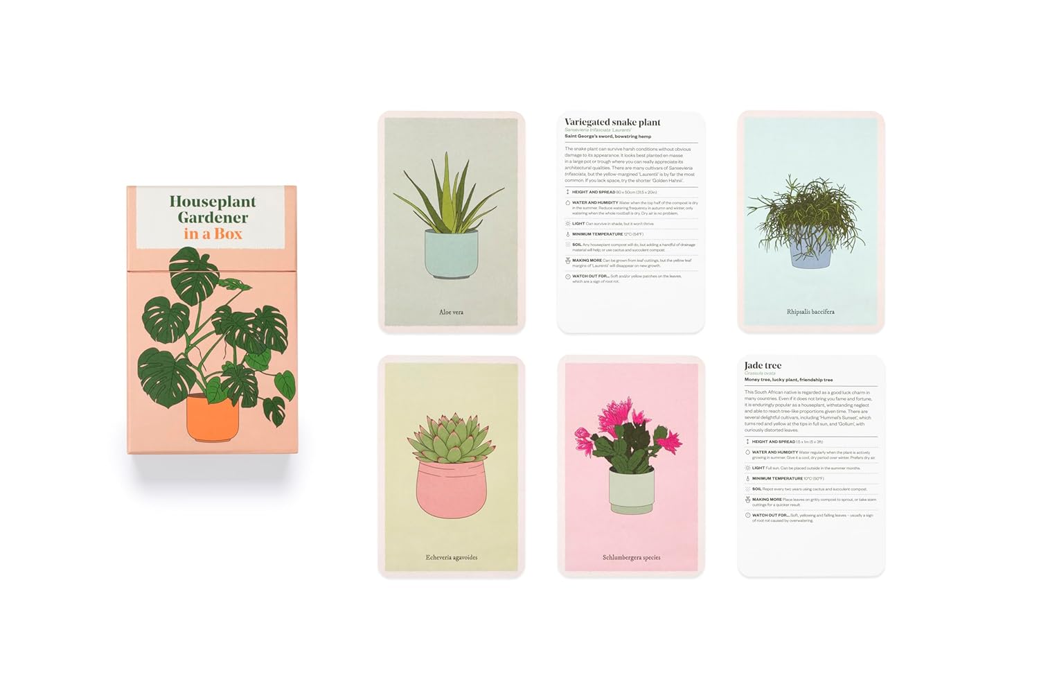 Houseplant Gardener In A Box by Jane Perrone and Cody Bond