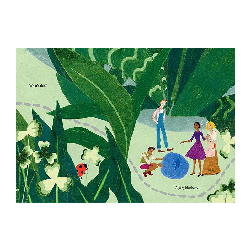 The Tiny Explorers by Kat Macleod