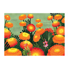 The Tiny Tailors by Kat Macleod