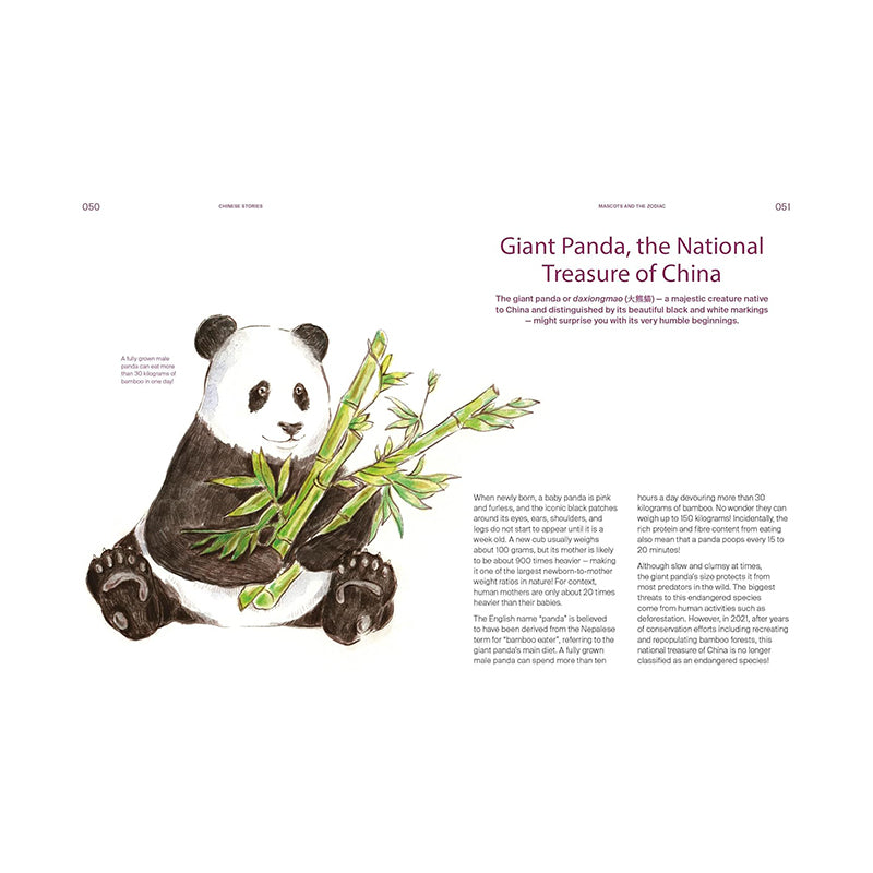 Chinese Stories by Media Mura