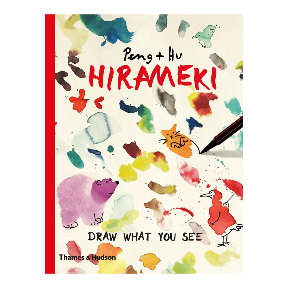 Hirameki: Draw What You See