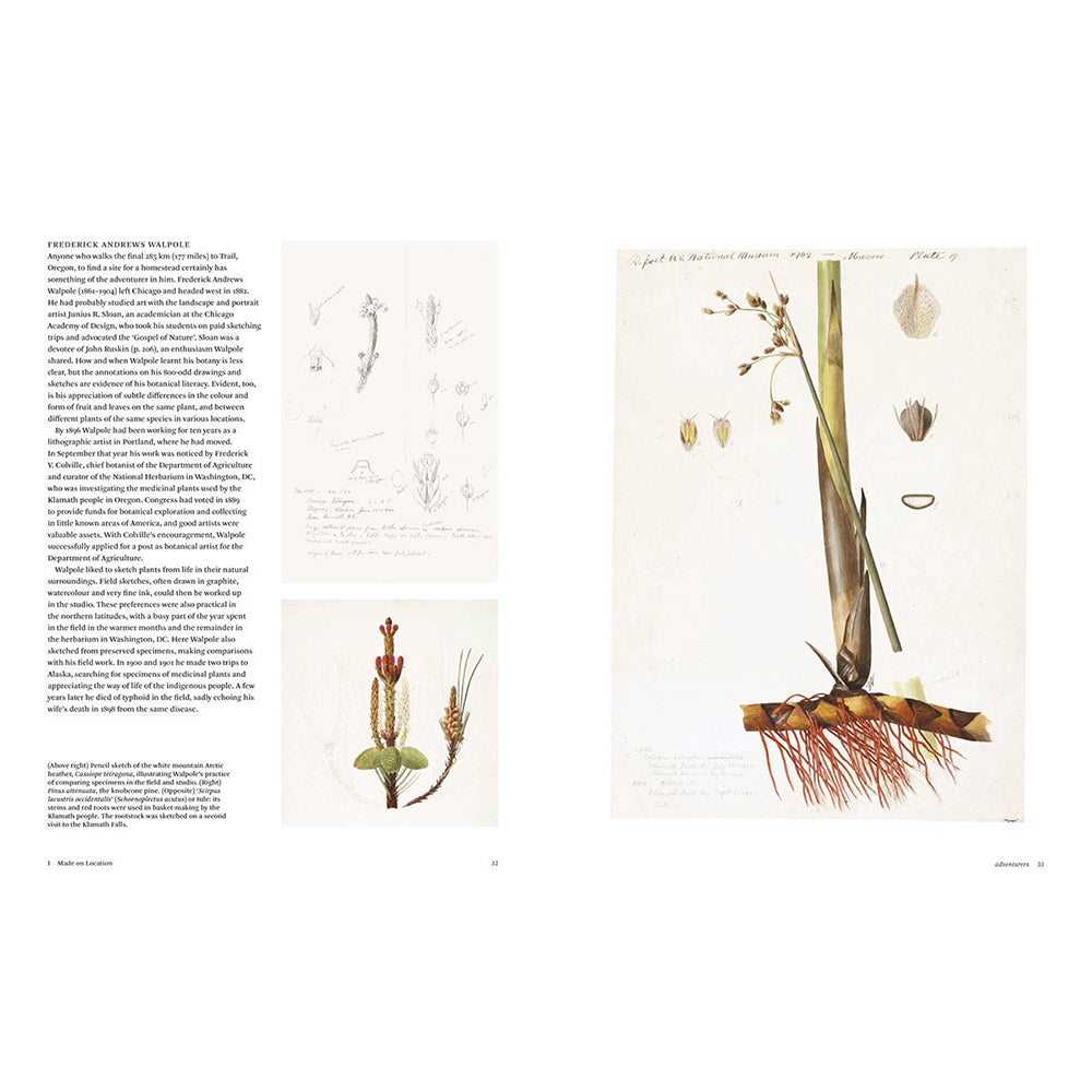 Botanical Sketchbooks by Helen Bynum and William Bynum