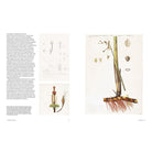 Botanical Sketchbooks by Helen Bynum and William Bynum