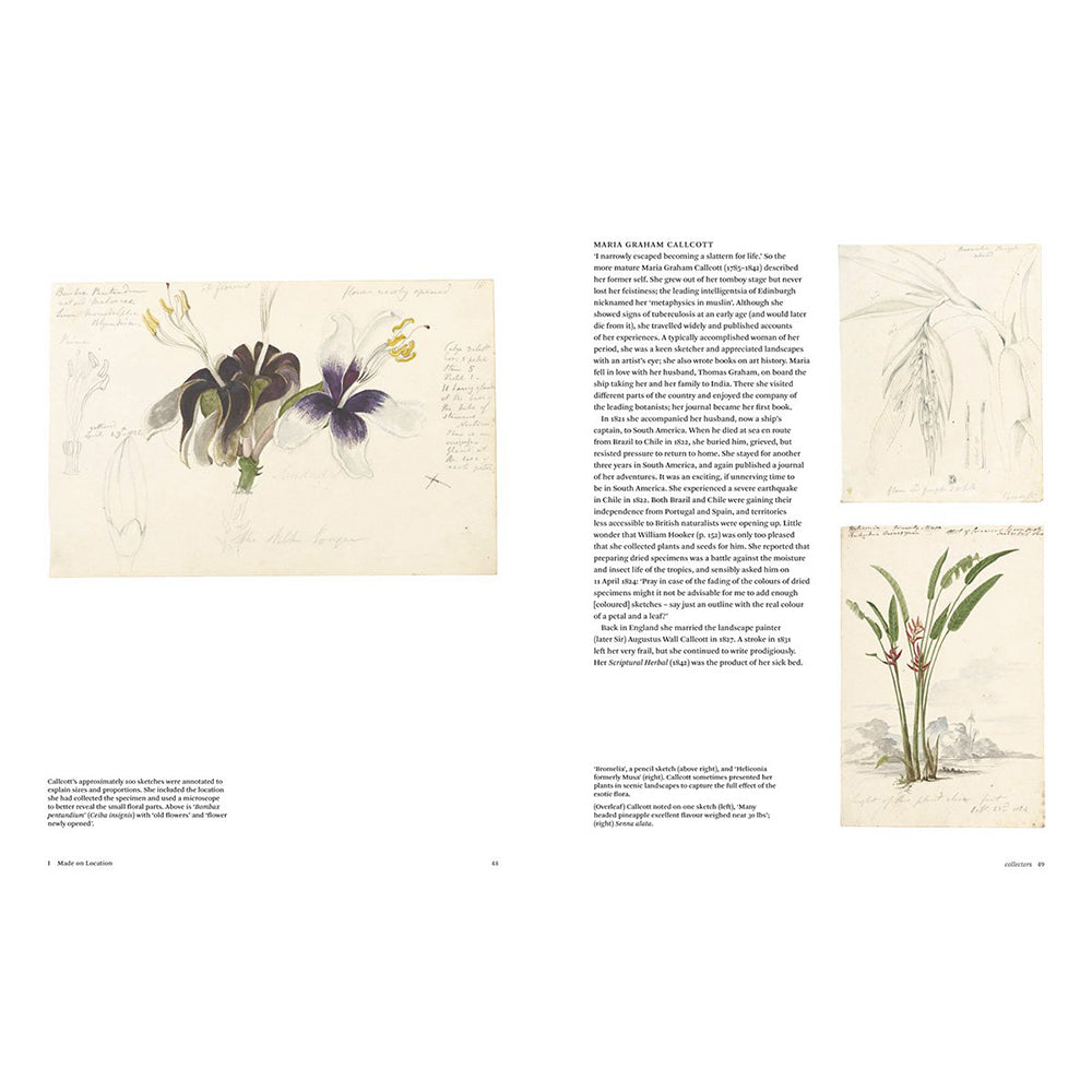 Botanical Sketchbooks by Helen Bynum and William Bynum