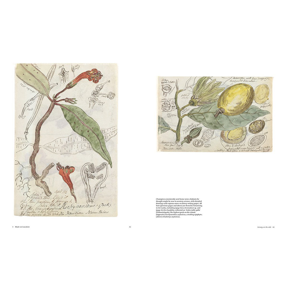 Botanical Sketchbooks by Helen Bynum and William Bynum